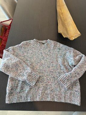 Jenni Kayne Multicolor Speckled Crewneck Sweater; worn 2x